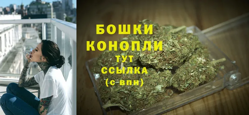 Канабис индика  Кущёвская 